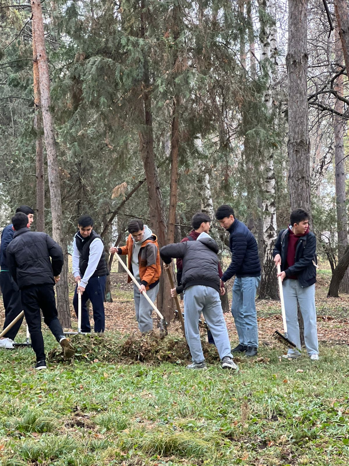 ҚазҰУ Қалашығындағы күзгі тазалық жұмыстары